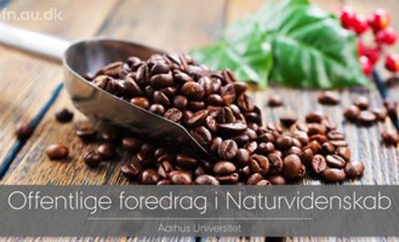 Strfyrilestur 0311