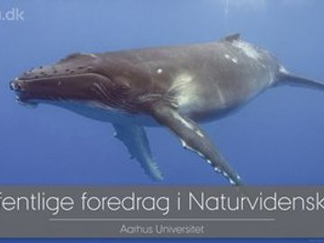 Strfyrilestur 0610
